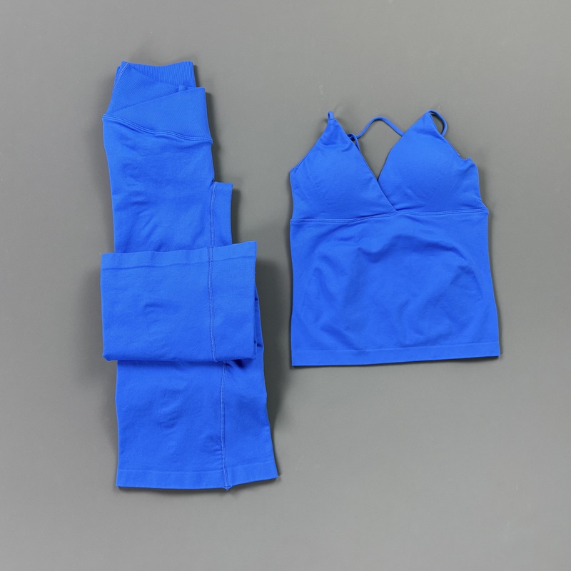 2Pcs Women Seamless Yoga Worko - đánh giá và giá Pilates Yoga Fit